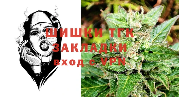 гашик Кулебаки