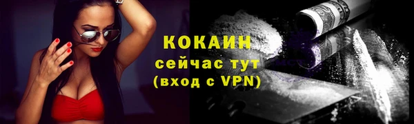 гашик Кулебаки
