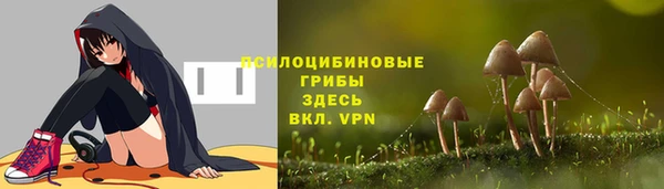 apvp Кукмор