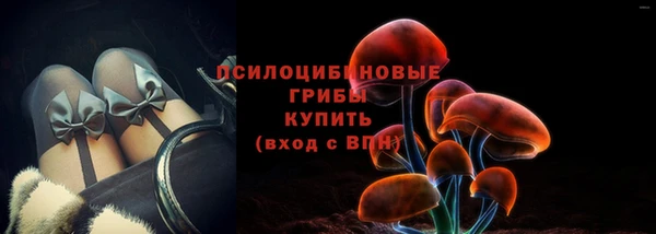 apvp Кукмор
