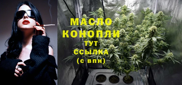 гашик Кулебаки