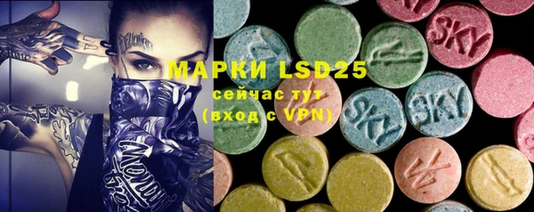 apvp Кукмор