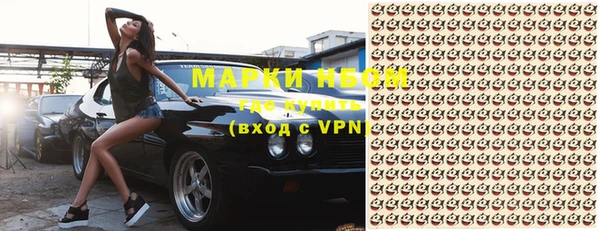 гашик Кулебаки
