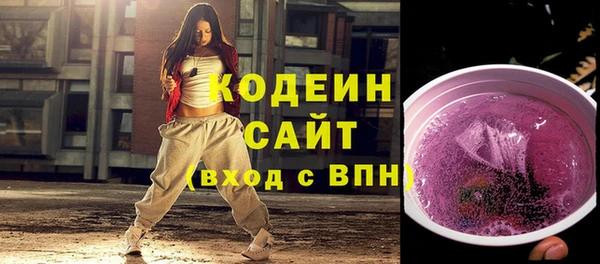 apvp Кукмор