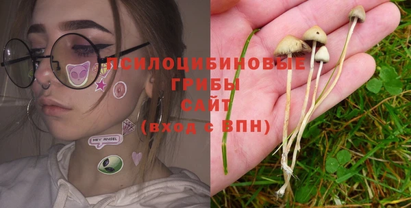 молекула духа Куйбышев