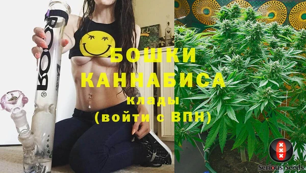 гашик Кулебаки