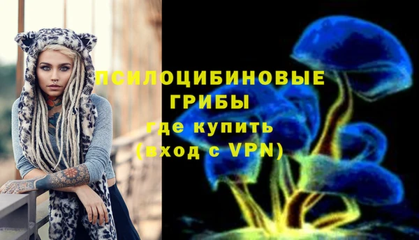 молекула духа Куйбышев