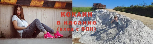 гашик Кулебаки