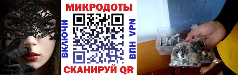 Псилоцибиновые грибы мицелий  KRAKEN ссылки  Сковородино 