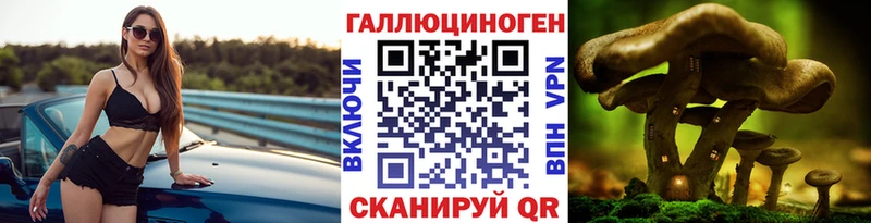 Псилоцибиновые грибы Psilocybine cubensis Сковородино